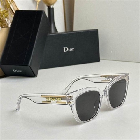 dior sunglass-101
